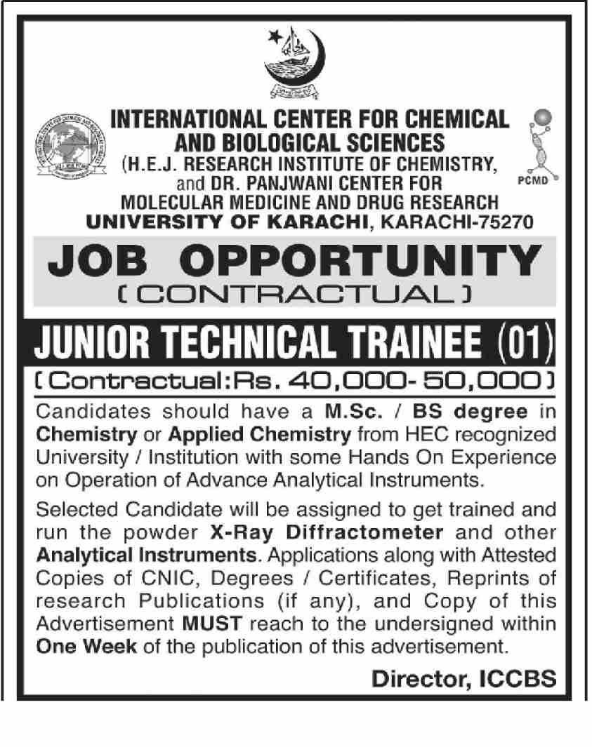 Junior Technical Trainee Job at ICCBS