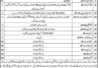 New Government Jobs in kholu