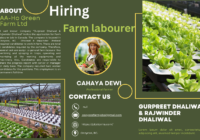 Farm labourer job in Canada