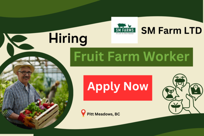 Fruit Farm Worker jobs in Canada