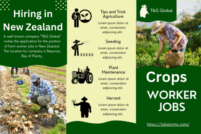 Jobs in New Zealand, Overseas T&G Global farm jobs