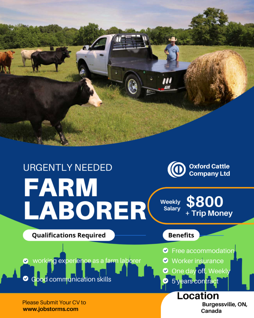 A well known company "Oxford Cattle Company Ltd" required General Farm Laborer in Canada. The location for job posting is Burgessville, ON, Canada. 