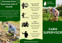 Farm Supervisor jobs in Canada