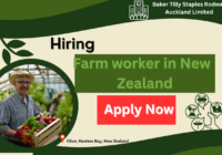 Overseas Strawberry-Farm jobs in New Zealand