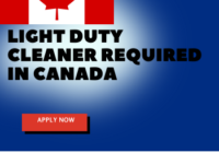 Light Duty Cleaner Required in new zealand